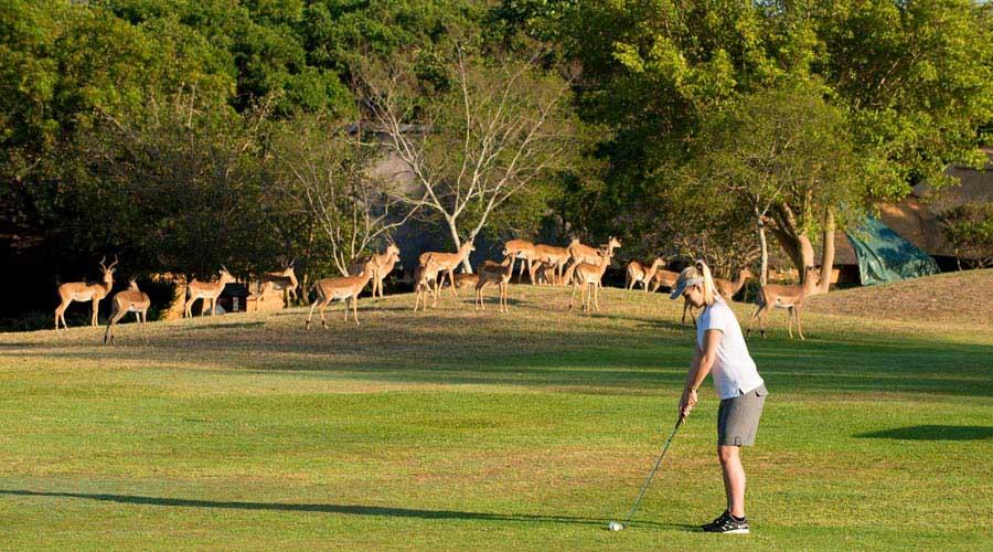 Kruger Park Lodge Hazyview Dış mekan fotoğraf